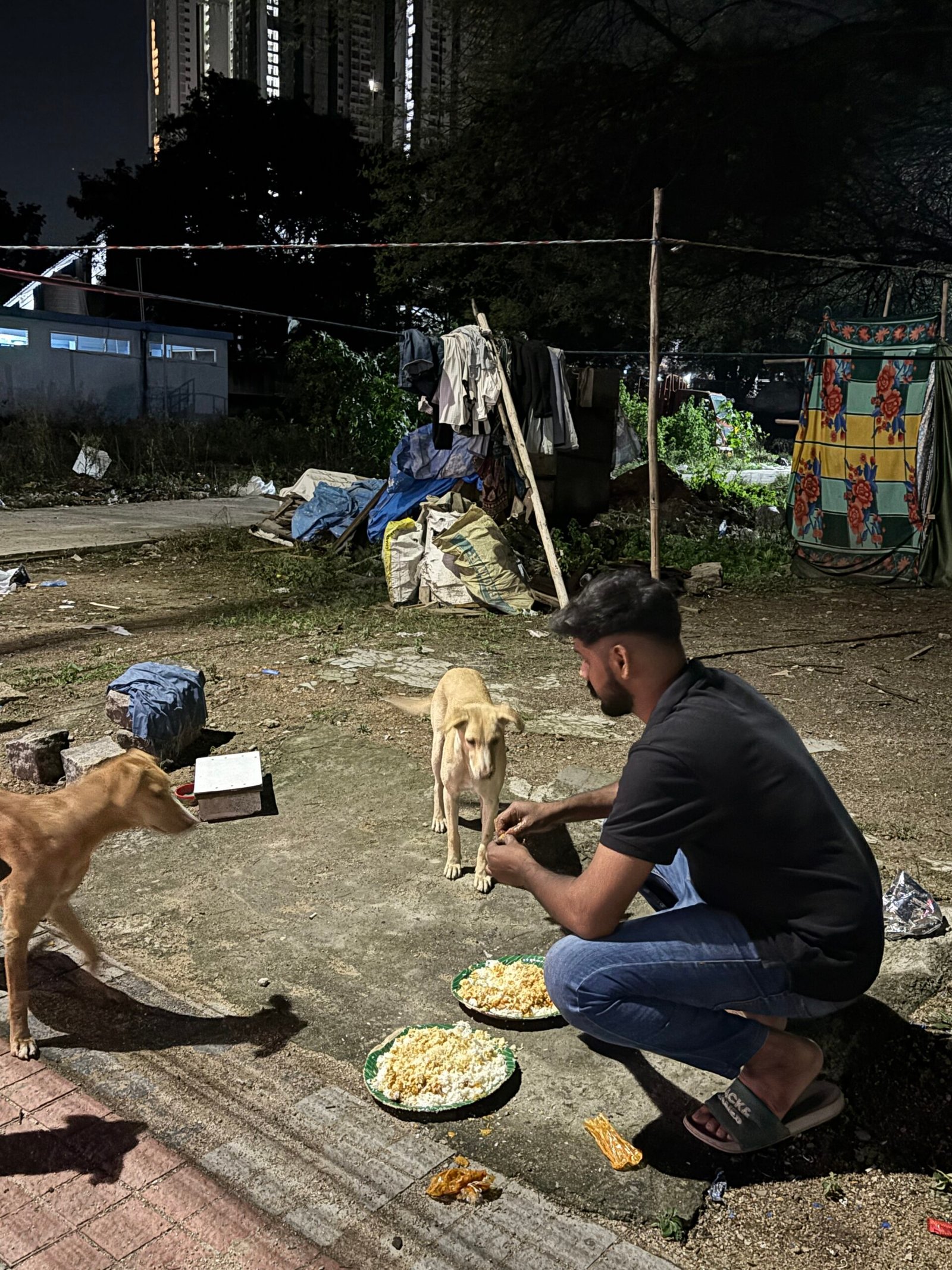 Animal Welfare
